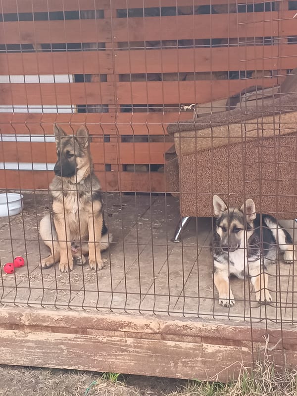 Young man documents daily life in rural Andreyevo, Russia
