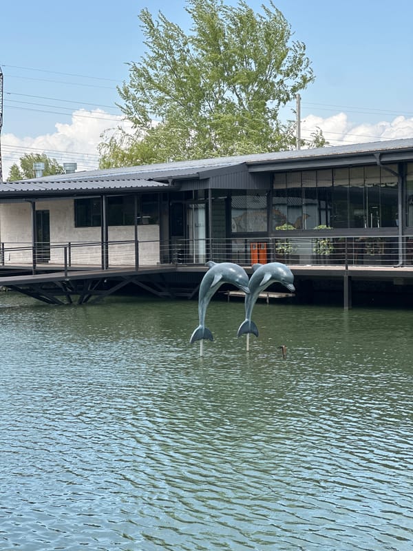 Waterfront dining and fish farming observed in Rekha, Georgia
