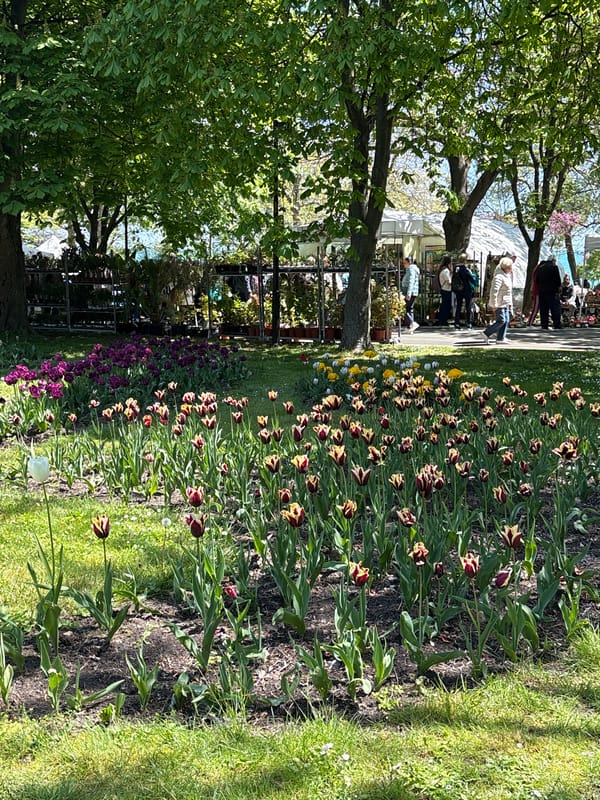 Spring garden event draws visitors for tulip viewing and shopping