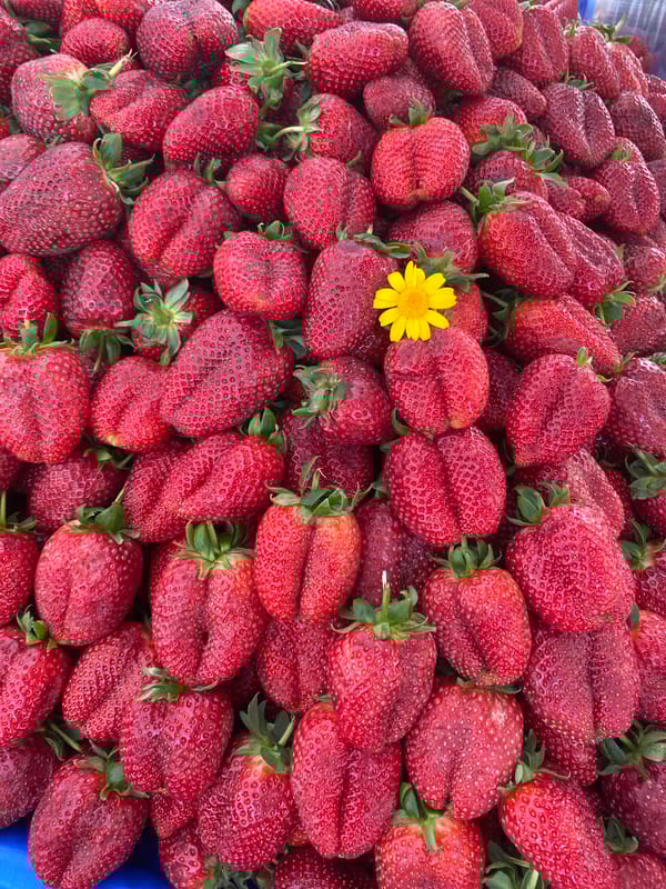 Street market operates in Alanya, Turkey selling produce and goods