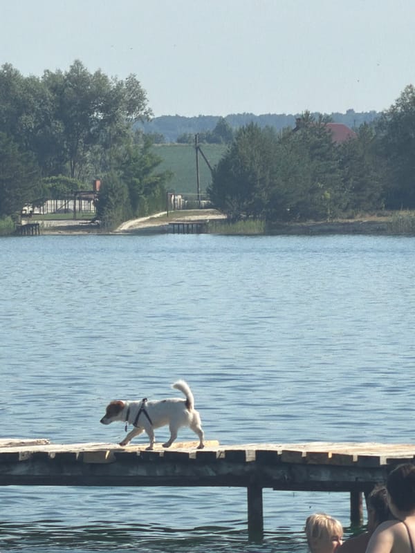 Sunny lakeside morning in Verbizh, Ukraine