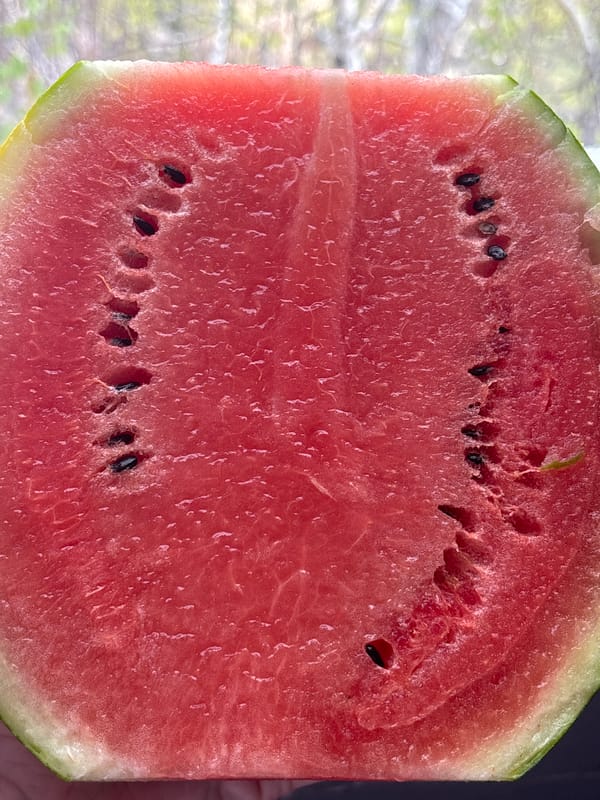 Cut watermelon photographed in Sofia, Bulgaria