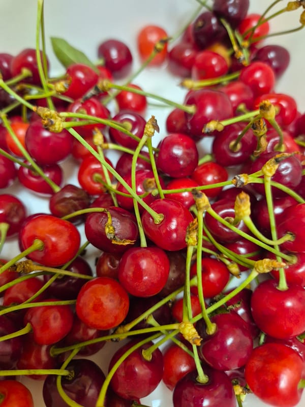 Woman in orange jacket spotted indoors, cherries photographed