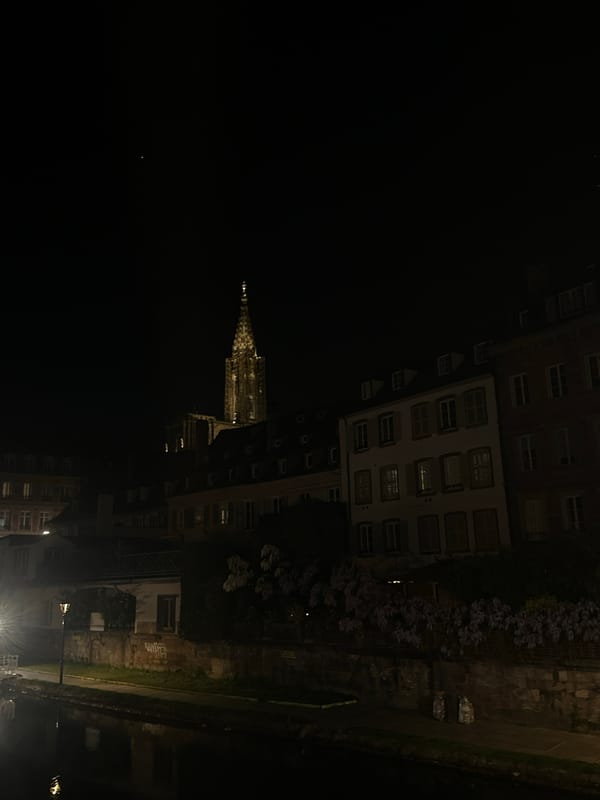 Strasbourg Cathedral illuminated in nighttime canal reflections