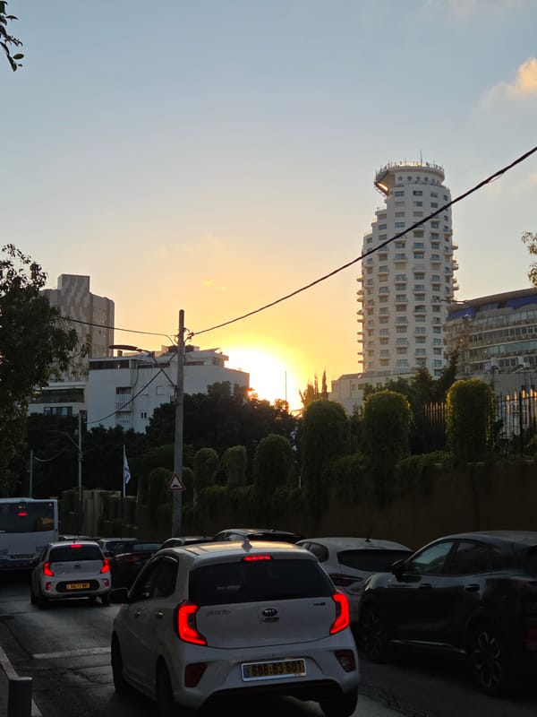 Tel Aviv at golden hour: streets, cats, and a dog walk