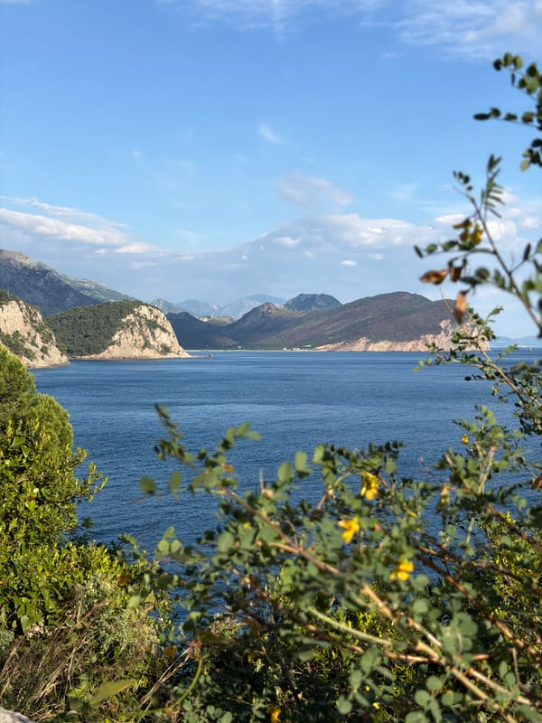 Dog and owner descend clifftop stairs in coastal Montenegro