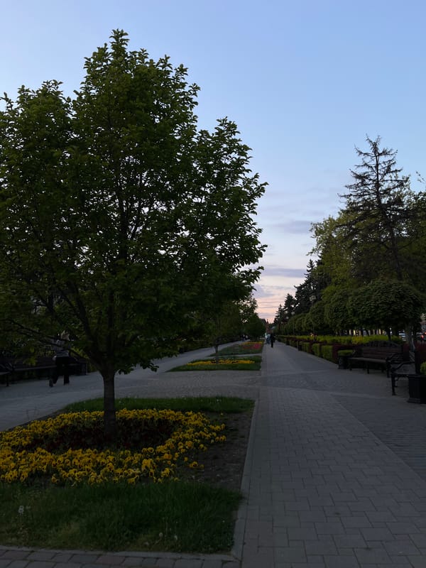 Street musician performs during evening hours in Krasnodar parks