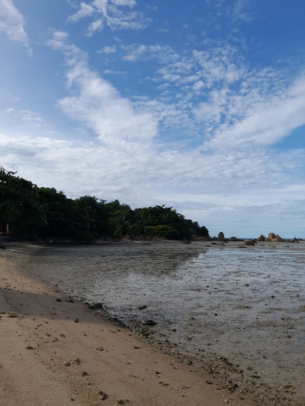 Low tide beach scenes with rocky shores and resort amenities