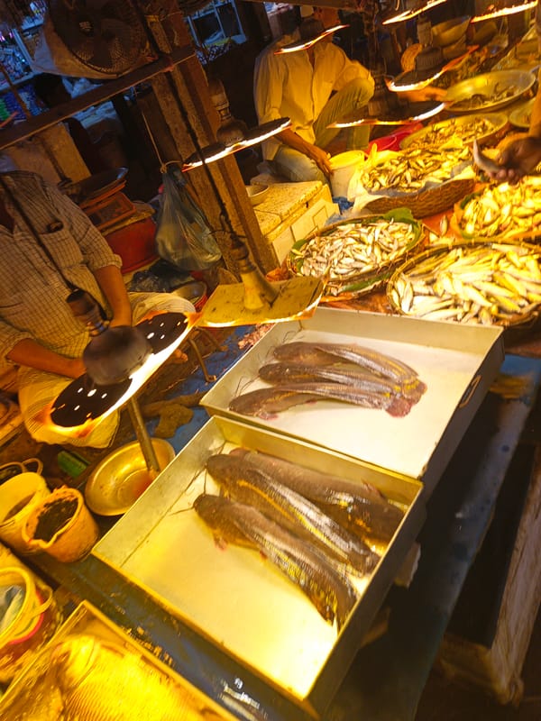 Morning fish and poultry market activity documented in Dhaka