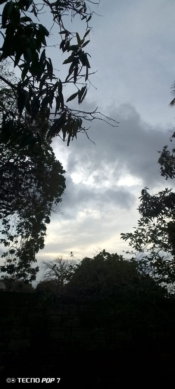 Dusk settles over Altagracia, Venezuela — skies, trees, and streetlights