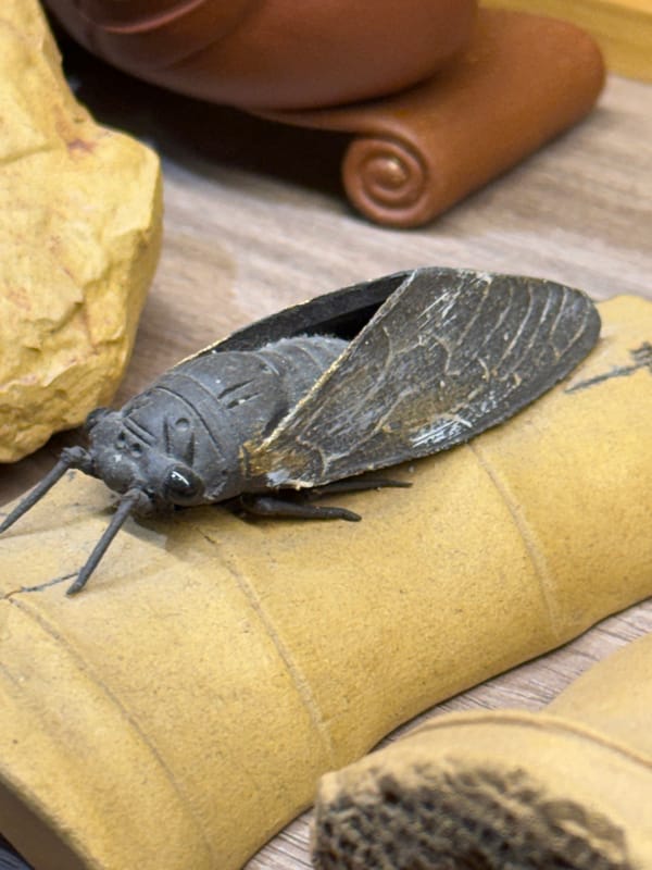 Visitor documents traditional Chinese artifacts at Liwan District exhibition