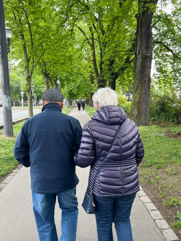Spring afternoon moments captured across Strasbourg parks and canals