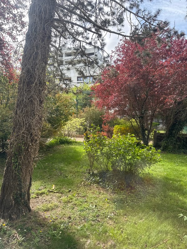 Everyday moments captured in Les Ulis gardens and surroundings