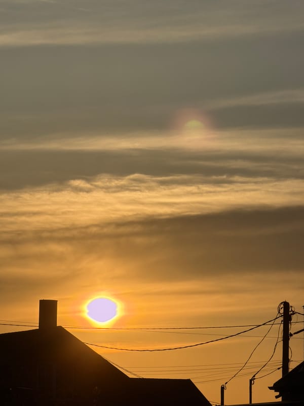 Evening dog walk captured in multiple photos, Rossiyskiy Russia