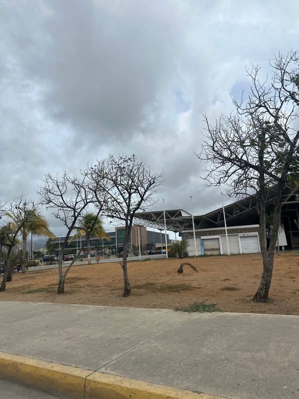Overcast afternoon on a quiet Juan Griego street corner