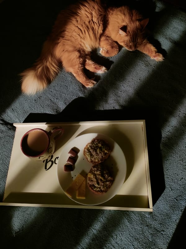 Ginger cat shares breakfast moment in Ufa home