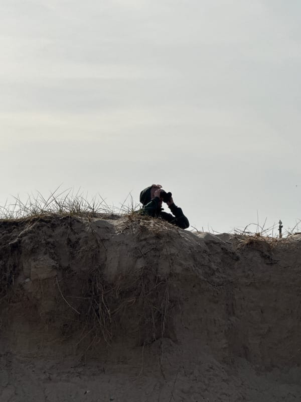 Afternoon beach documentation captures coastal life in Gorleston-on-Sea