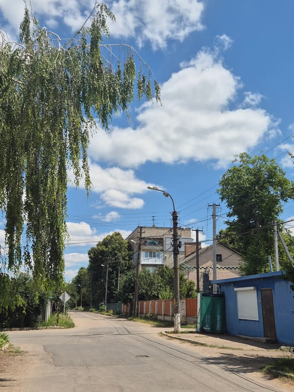 Quiet morning stroll through a residential Sozonivka neighborhood
