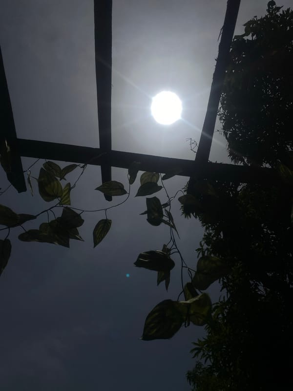 Sun photography and digital graphics captured in Barden Yana