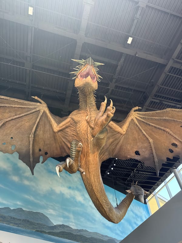Dragon sculpture spotted hanging in Nerima indoor space