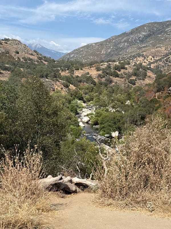 Fourth of July stop at Sequoia National Park entrance