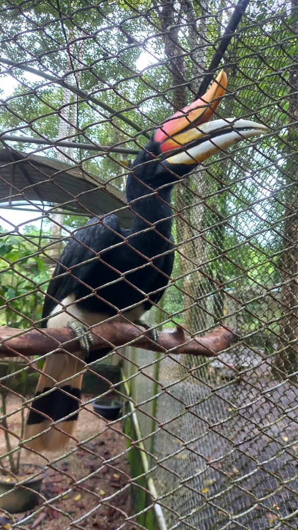 Zoo visit captures diverse bird species in Takdat, Thailand