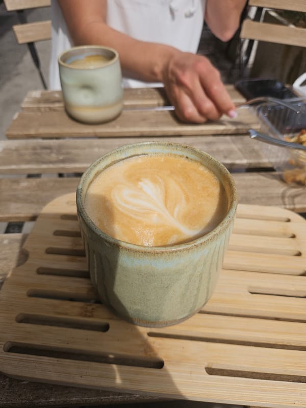 Tourist documents afternoon stroll through cat-filled Budva, Montenegro