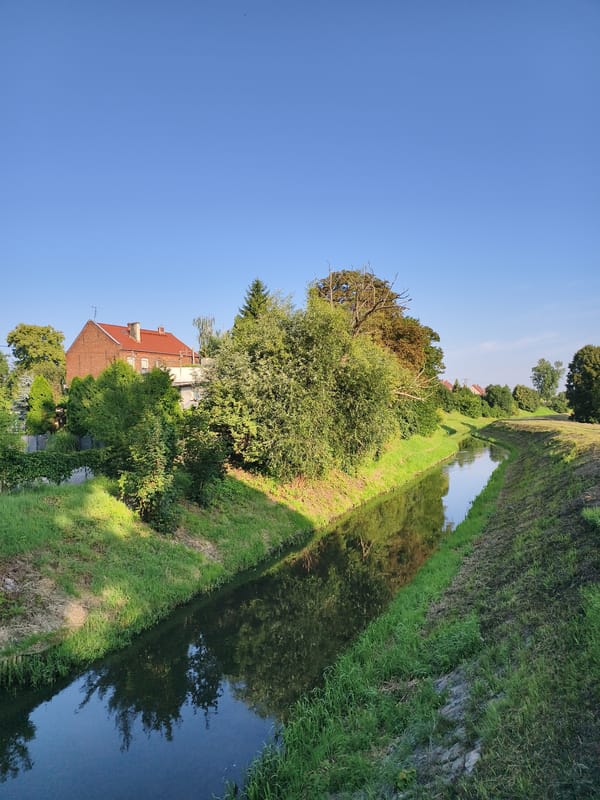 Canal, creek, and graffiti along Tczew's waterways