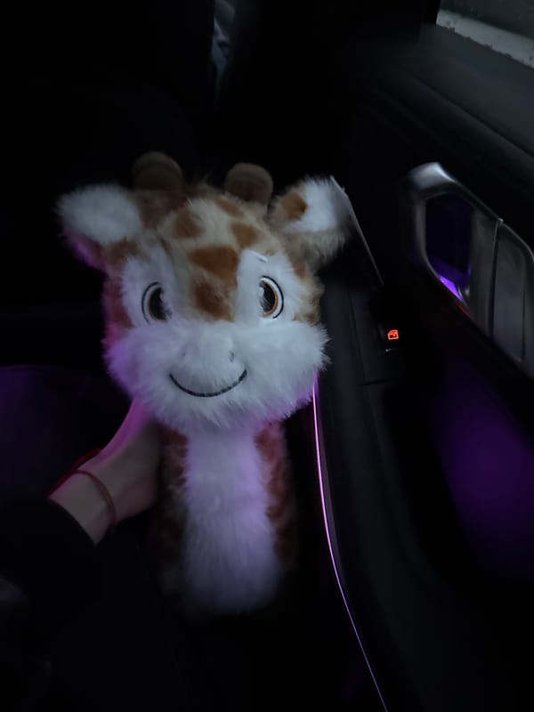 Driver navigates BMW through Plovdiv with stuffed giraffe companion