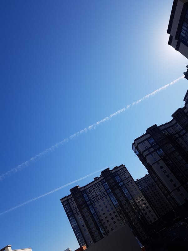 Everyday moments captured across Saint Petersburg during afternoon hours