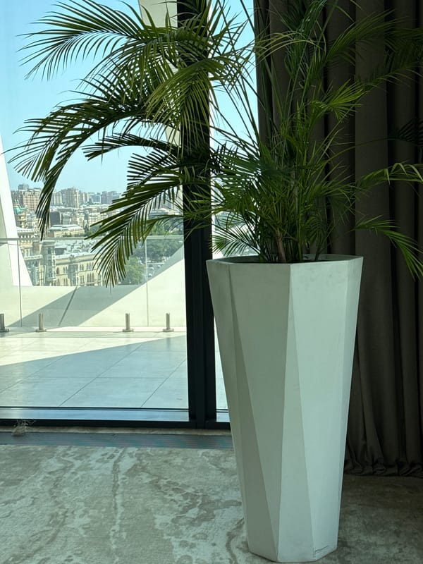 Event prep and city views across Baku on a summer morning