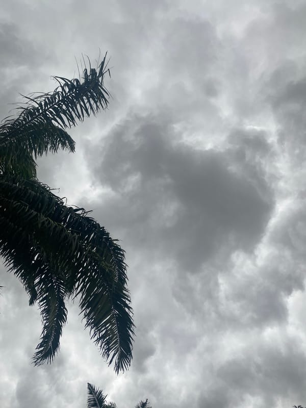Rainy morning observations captured in Maigizo, Nigeria