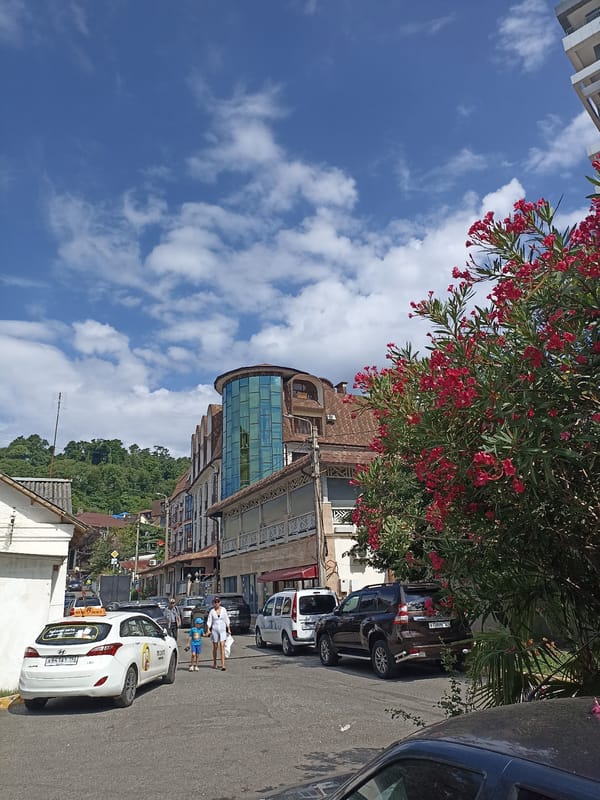 Sunny street corner in Sochi, taxis and oleander in view