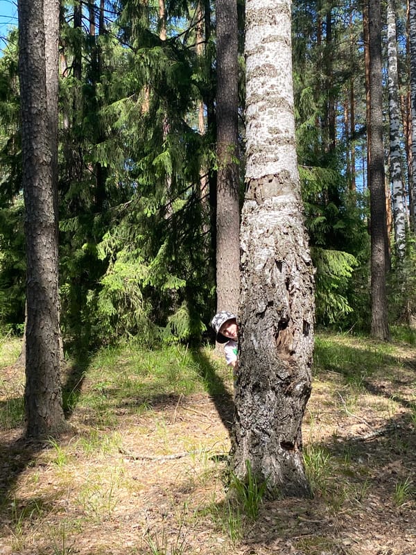 Forest encounter photographed in Noviy, Russia