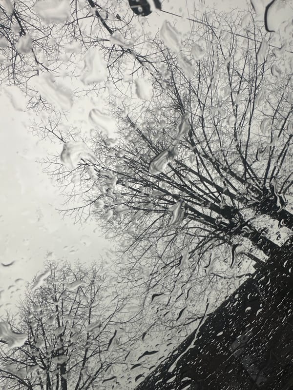 Rainy morning documented through windows in Riga, Latvia