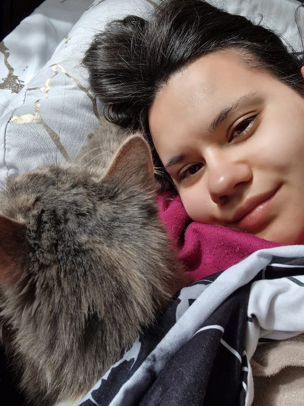 Woman and grey cat share quiet moment on bed
