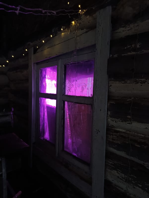 Family gathering with toddler and dog captured in Noviy