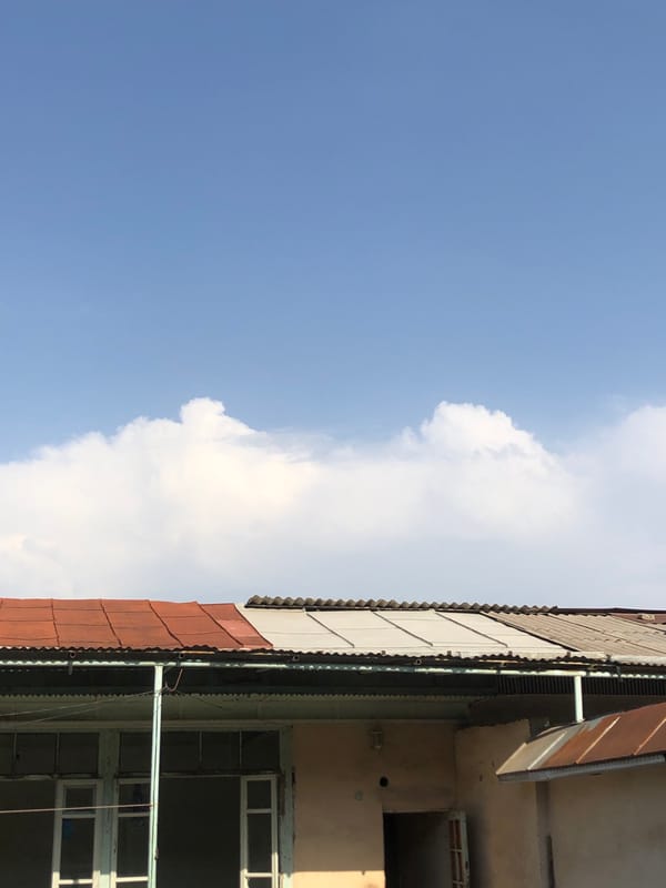 Scattered midday moments across a Tashkent neighborhood