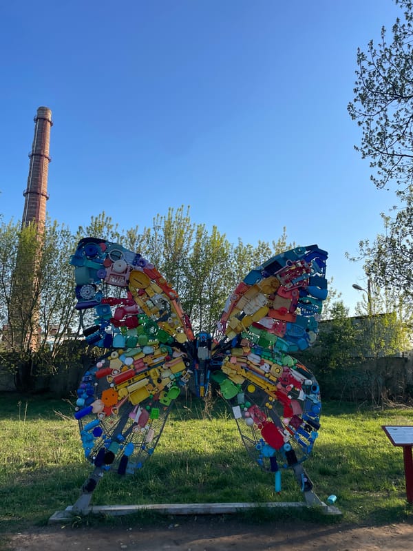 Spring forest walk documented in Kazan includes recycled butterfly sculpture