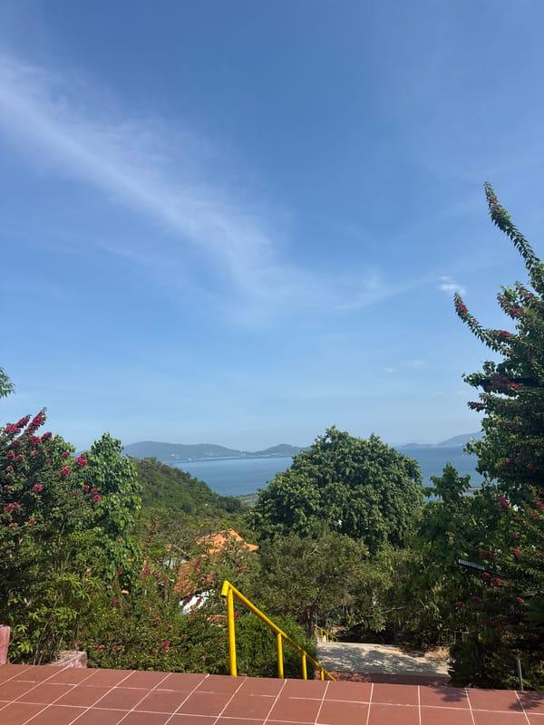 Blooming frangipani and coastal views from a Nha Trang terrace