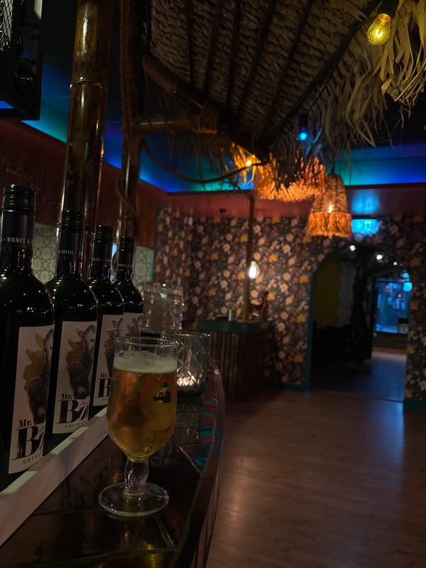 Tropical-themed bar documented in Enschede, Netherlands