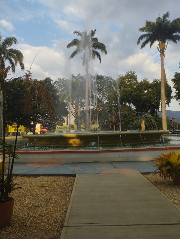 Evening scenes captured at Valencia fountain and decorated trees