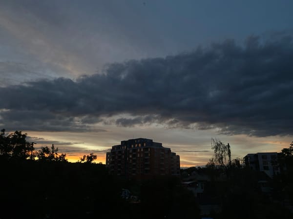 Evening cityscape and sleeping French bulldog documented by witness