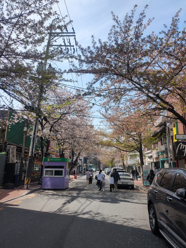 Early morning street scenes documented across Seoul commercial district