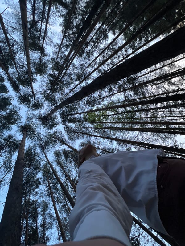 Afternoon life captured across Chaikovsky: forests, riverside, indoor moments