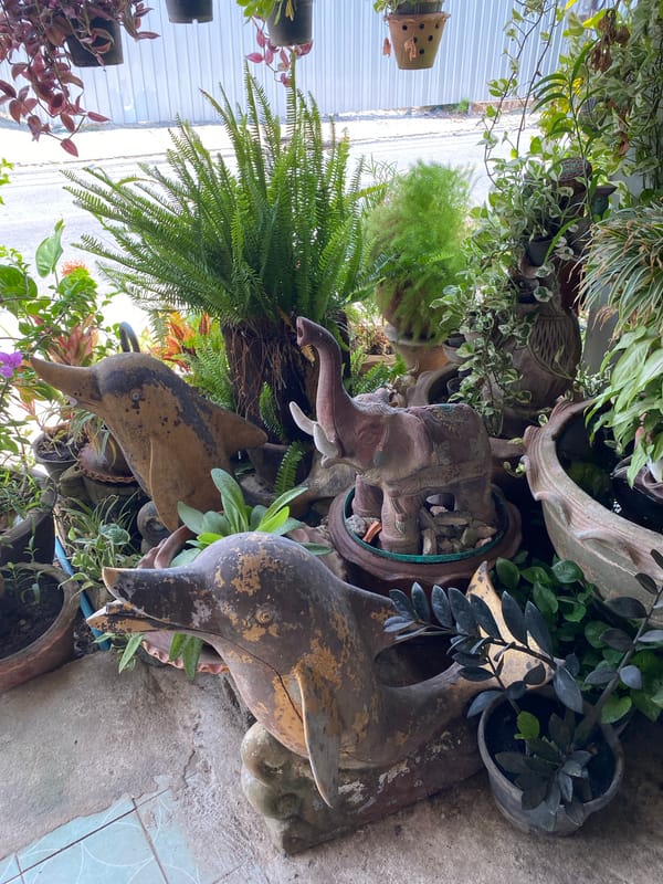 Morning garden scene documented in Choeng Thale, Thailand
