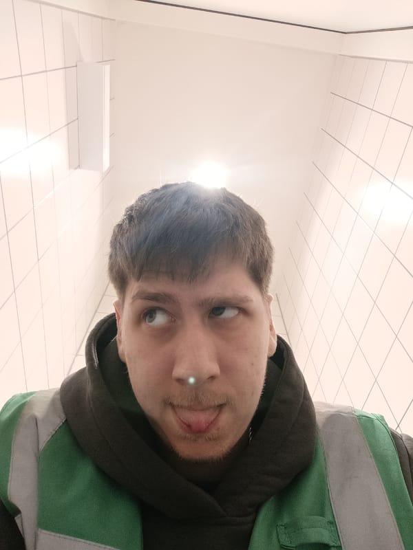 Worker documents day with selfies, FedEx van in Duiven