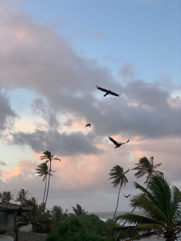 Sunset views and street scenes in Ahangama, Sri Lanka