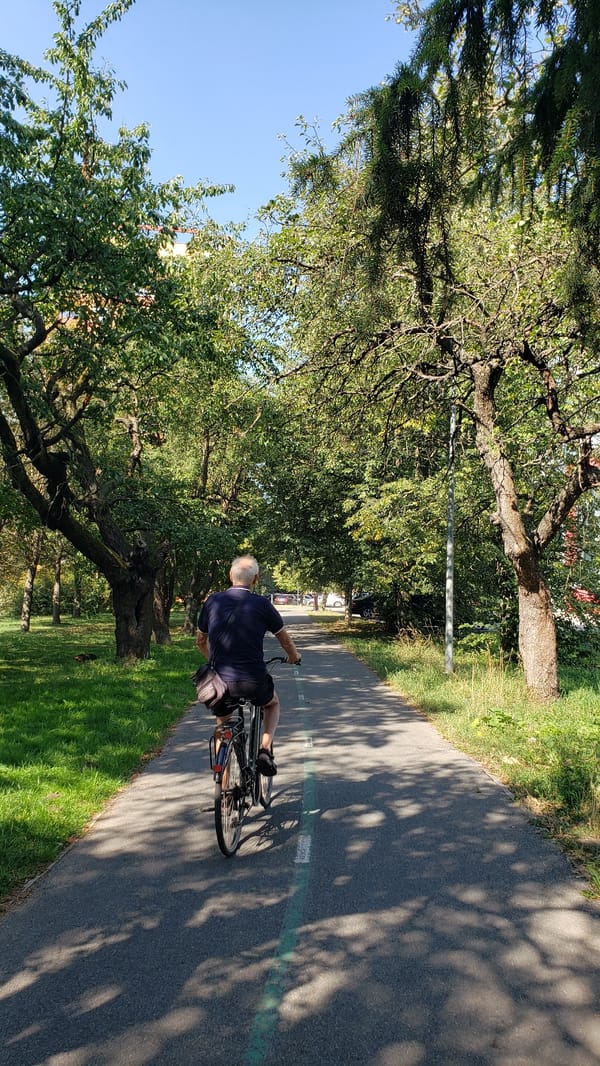 Summer morning activity in a Prešov park — cycling, volleyball, street scenes