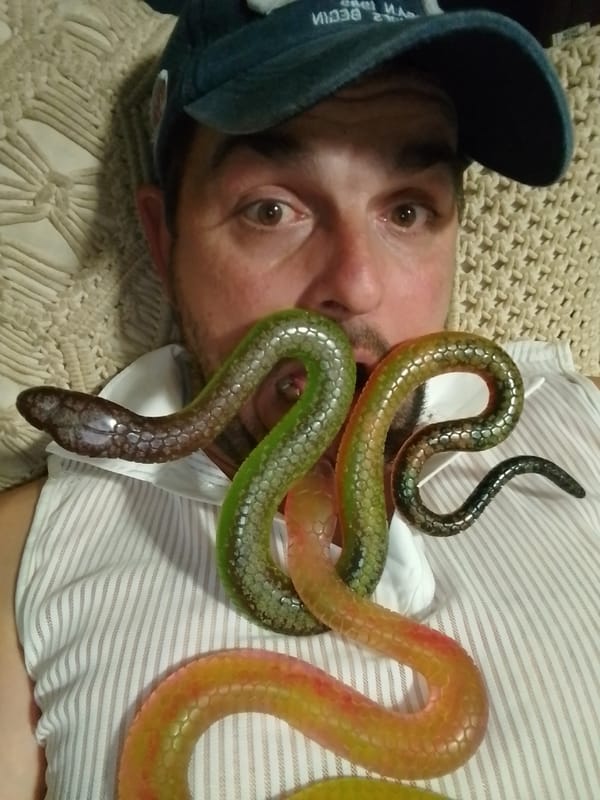 Snake handling and art, one quirky evening in Wedel